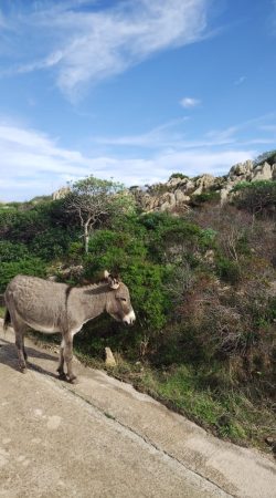 WhatsApp Image 2025-07-22 at 08.48.04