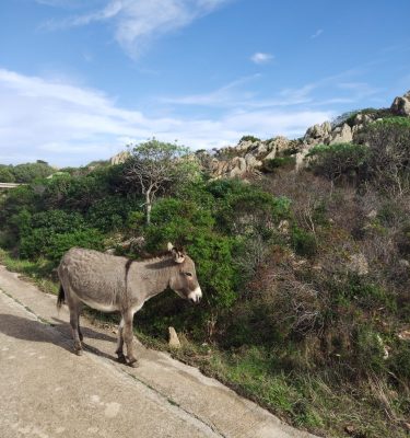 WhatsApp Image 2025-07-22 at 08.48.04