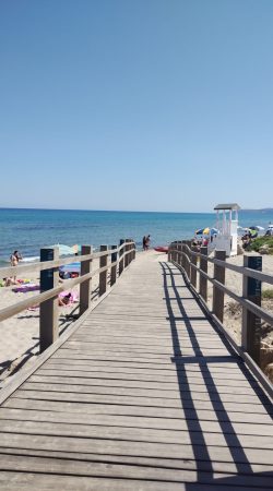 WhatsApp Image 2025-07-22 at 08.48.09 (1)